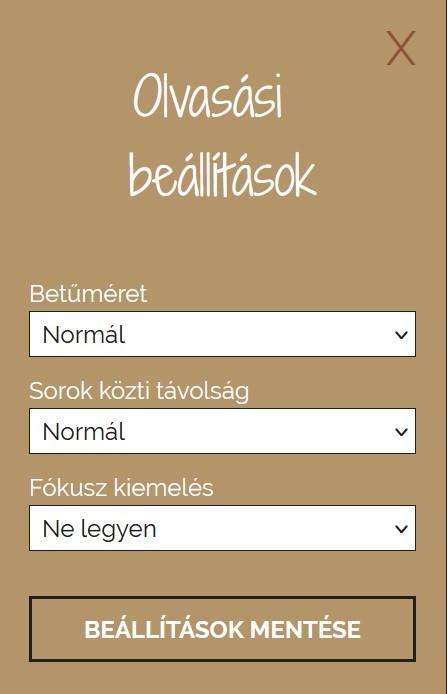 Akadálymentes beállítások panel