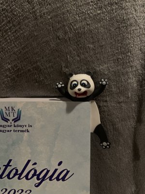 Pandás könyvjelző 