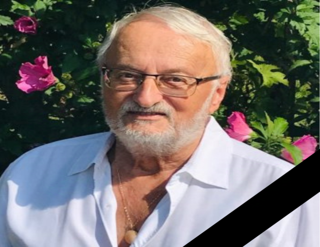 Nemere István